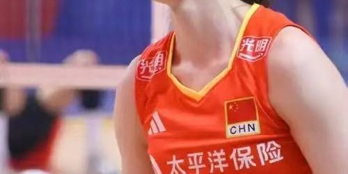 熊猫体育登录入口-中国女排五大美女盘点：第二名毫无争议，第一名出人意料|张常宁|惠若琪|李月明|郑益昕|赛场_新浪体育_新浪新闻