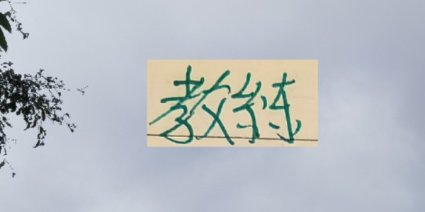 越折腾越能拿冠军 ！五年来海港4次换教练 4夺冠军