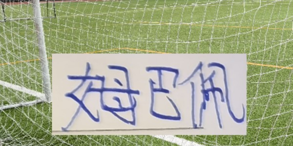 熊猫体育官方入口-前申花名将德罗巴入选TOP10中锋！皇马官宣：罗德里戈重伤